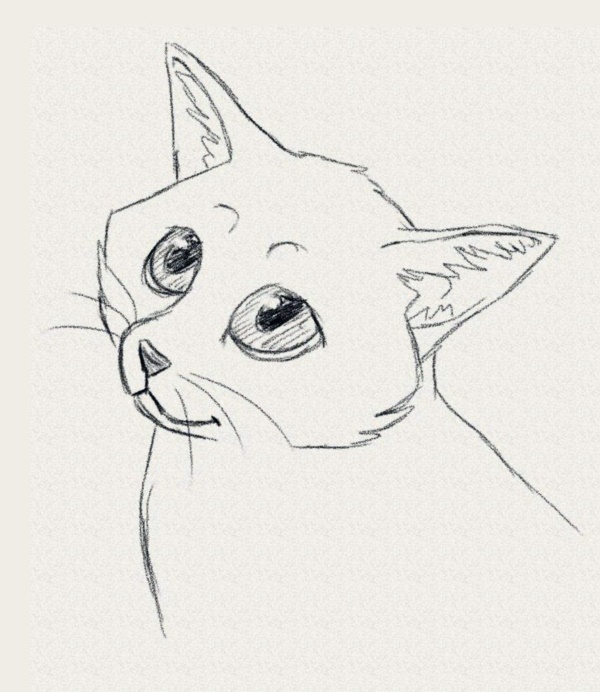 600x692 40 Simple Cat Drawing Examples Anyone Can Try - Simple Cat Sketch