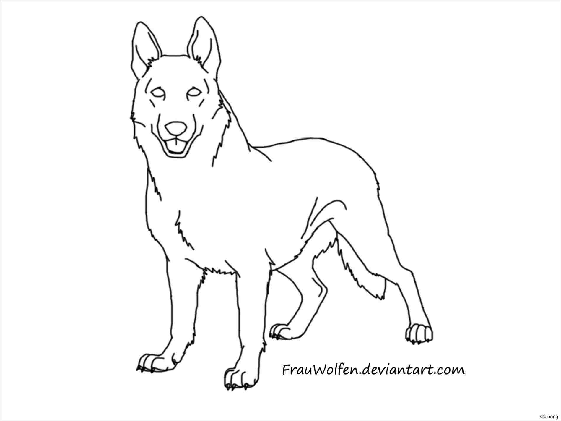 1899x1424 In Rhdrawingfitcom Simple Easy Dog Drawings Sketch For Kid Drawing - Simple Dog Sketch