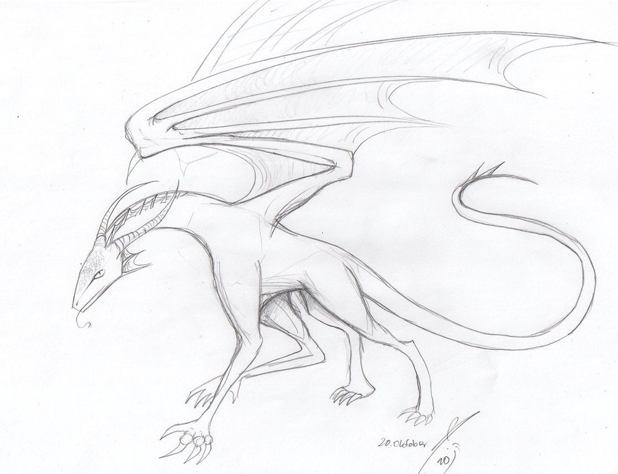 900x691 A Simple Dragon Sketch By Bruneburg - Simple Dragon Sketch