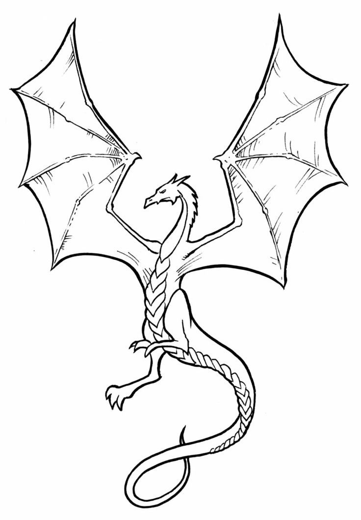 736x1060 Simple Dragon Drawing - Simple Dragon Sketch