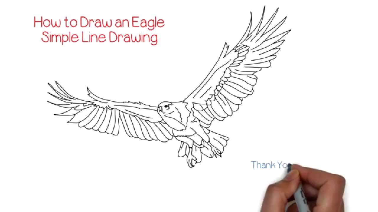 1280x720 Simple Eagle Sketch How To Draw An Eagle Simple Line Drawing - Simple Eagle Sketch