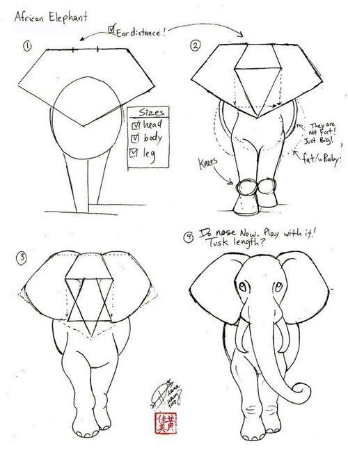 500x651 Pin By Courtney Swindells On For The Love Of Art ~ - Simple Elephant Sketch