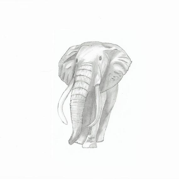 570x571 Simple Elephant Drawing Print Etsy - Simple Elephant Sketch