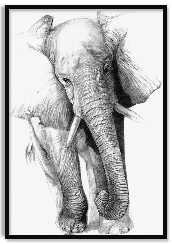 713x1014 Elephant Sketch - Simple Elephant Sketch