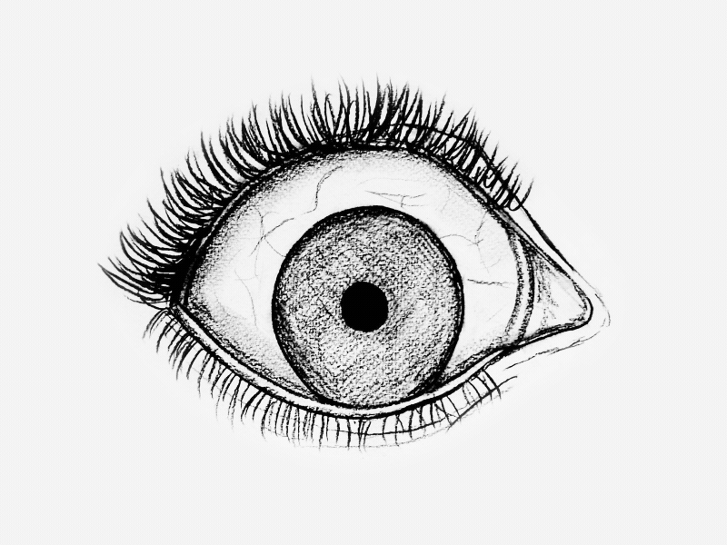 800x600 Simple Eye By Daniela Benedix - Simple Eye Sketch