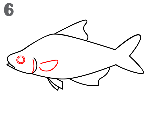 624x482 How To Draw A Fish - Simple Fish Sketch