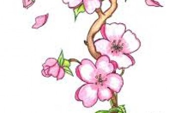 343x228 Flower Sketch Easy - Simple Flower Sketch