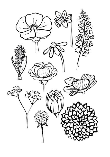 452x640 Simple Flower Drawings - Simple Flower Sketch