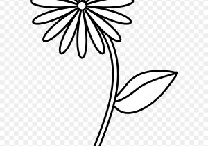 300x210 Simple Flower Drawings In Black And White Flowers Drawing White - Simple Flower Sketch