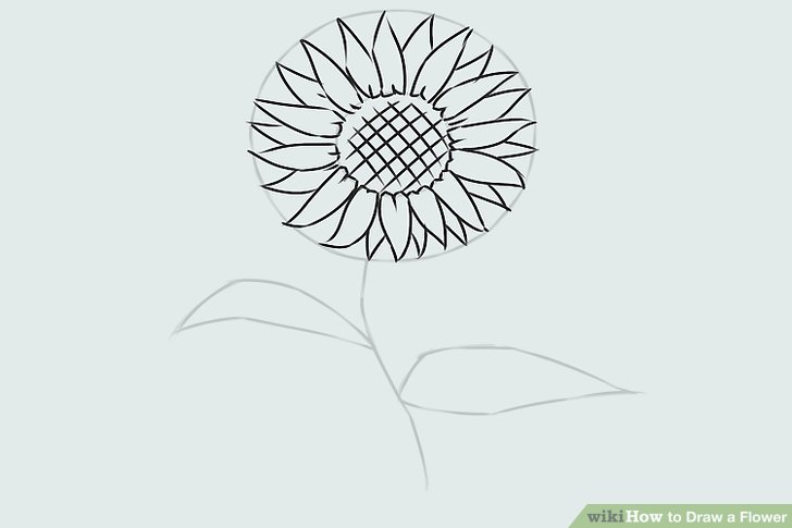 728x485 9 Easy Ways To Draw A Flower - Simple Flower Sketch