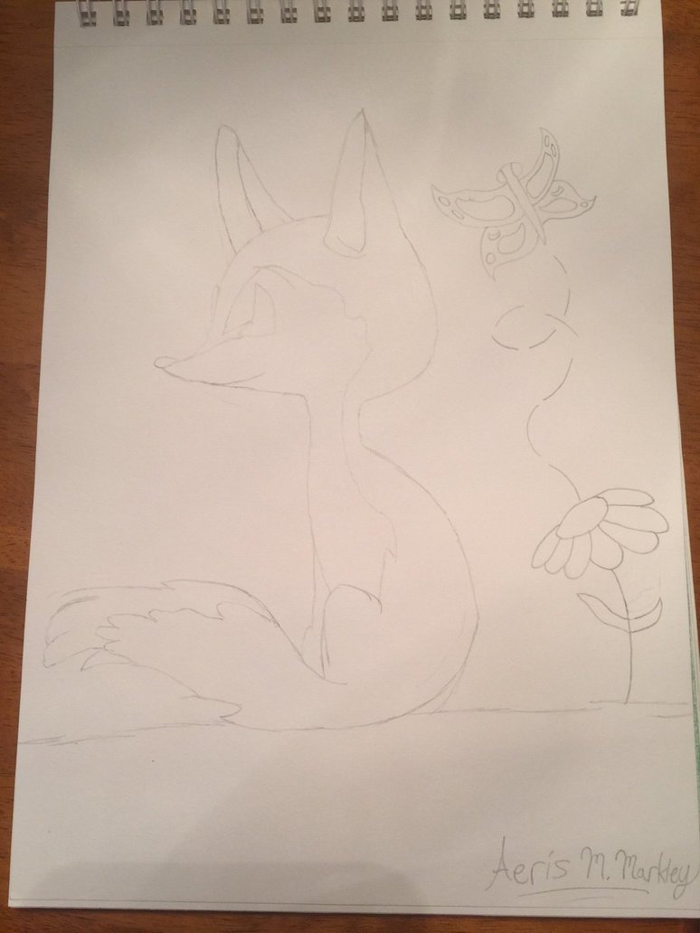 774x1032 Simple Fox Sketch (Wip) By Spiritkeeperaeris - Simple Fox Sketch