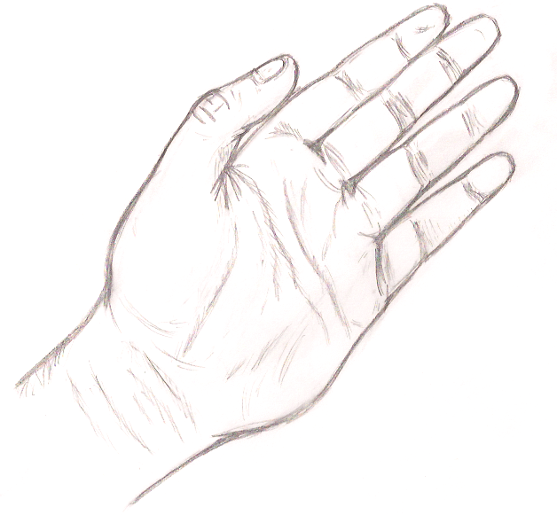 628x581 Human Hand Sketch - Simple Hand Sketch