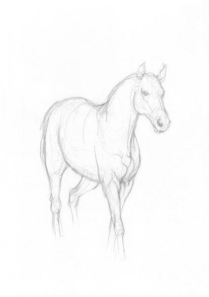 424x600 Horse Simple Drawing Original Pencil Sketch By Intuicio On Etsy - Simple Horse Sketch