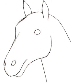250x285 How To Draw A Horse Head - Simple Horse Sketch