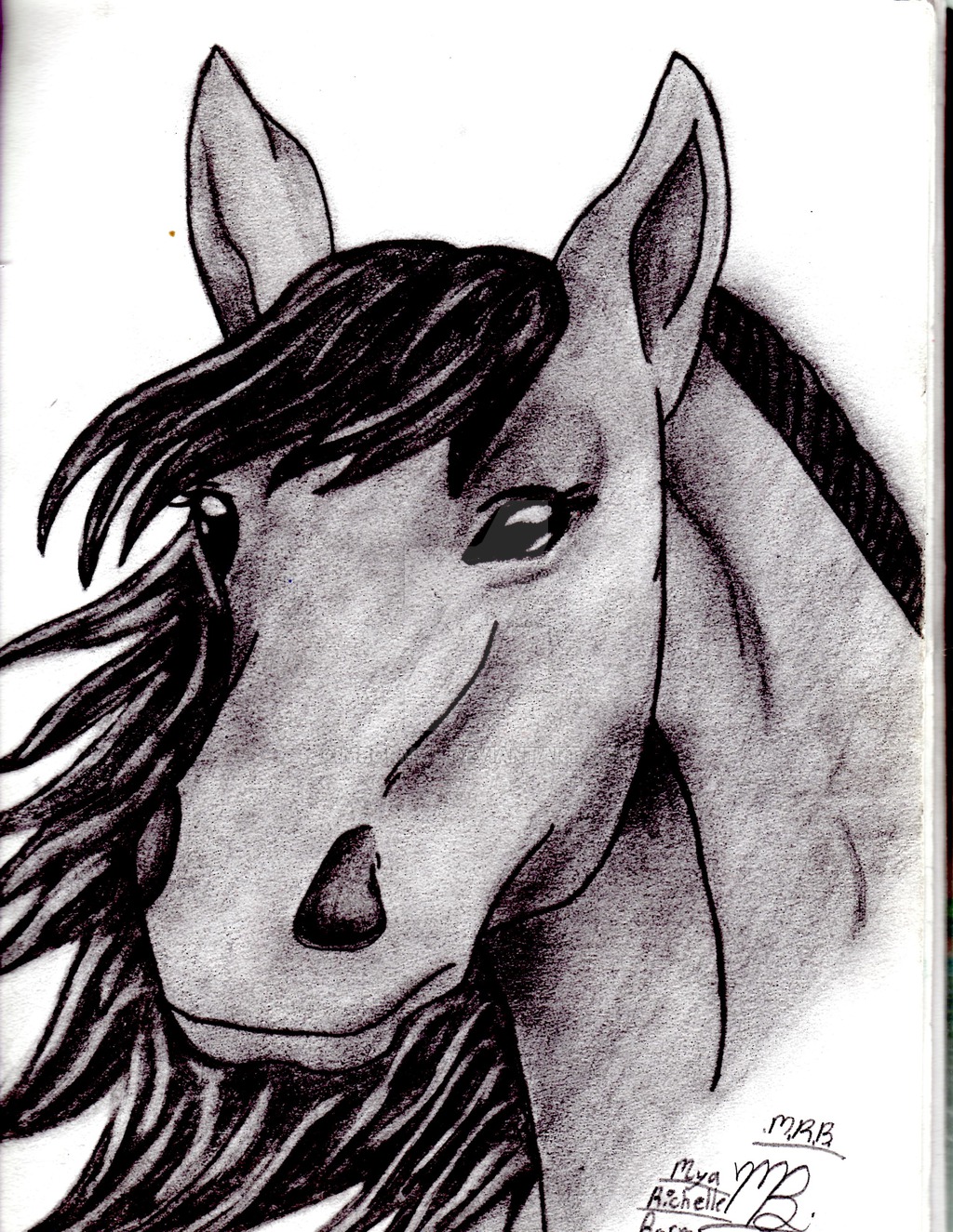 1024x1325 Simple Horse Sketch ....... By Ravenmidnight22 - Simple Horse Sketch