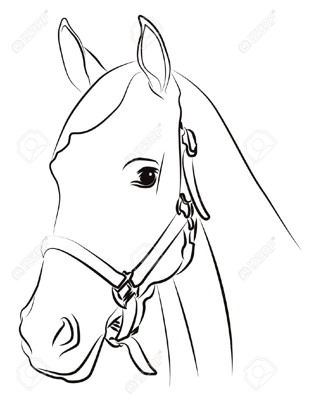 1039x1300 Horse Face Drawing Simple Horse Head Drawing How To Draw A Horse - Simple Horse Sketch