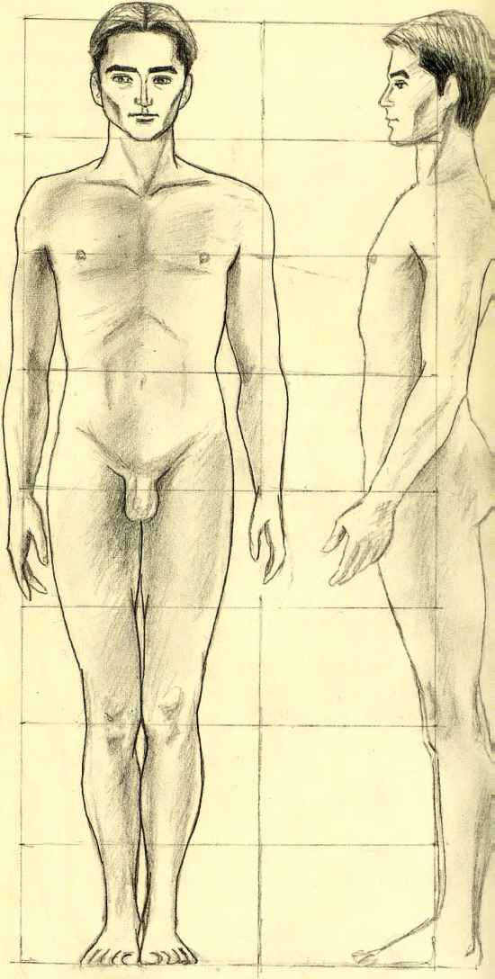 550x1088 Figural Problems - Simple Human Body Sketch