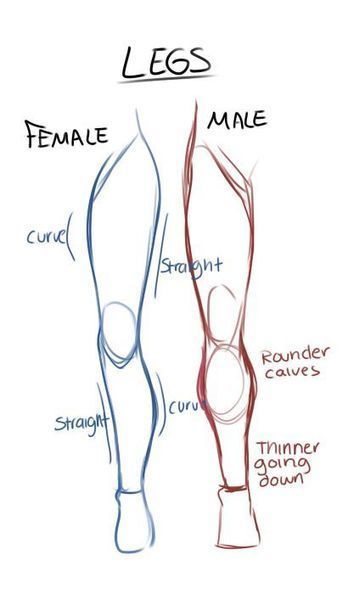 354x594 Gender Legs Drawing Reference Guide Drawing References And - Simple Human Body Sketch