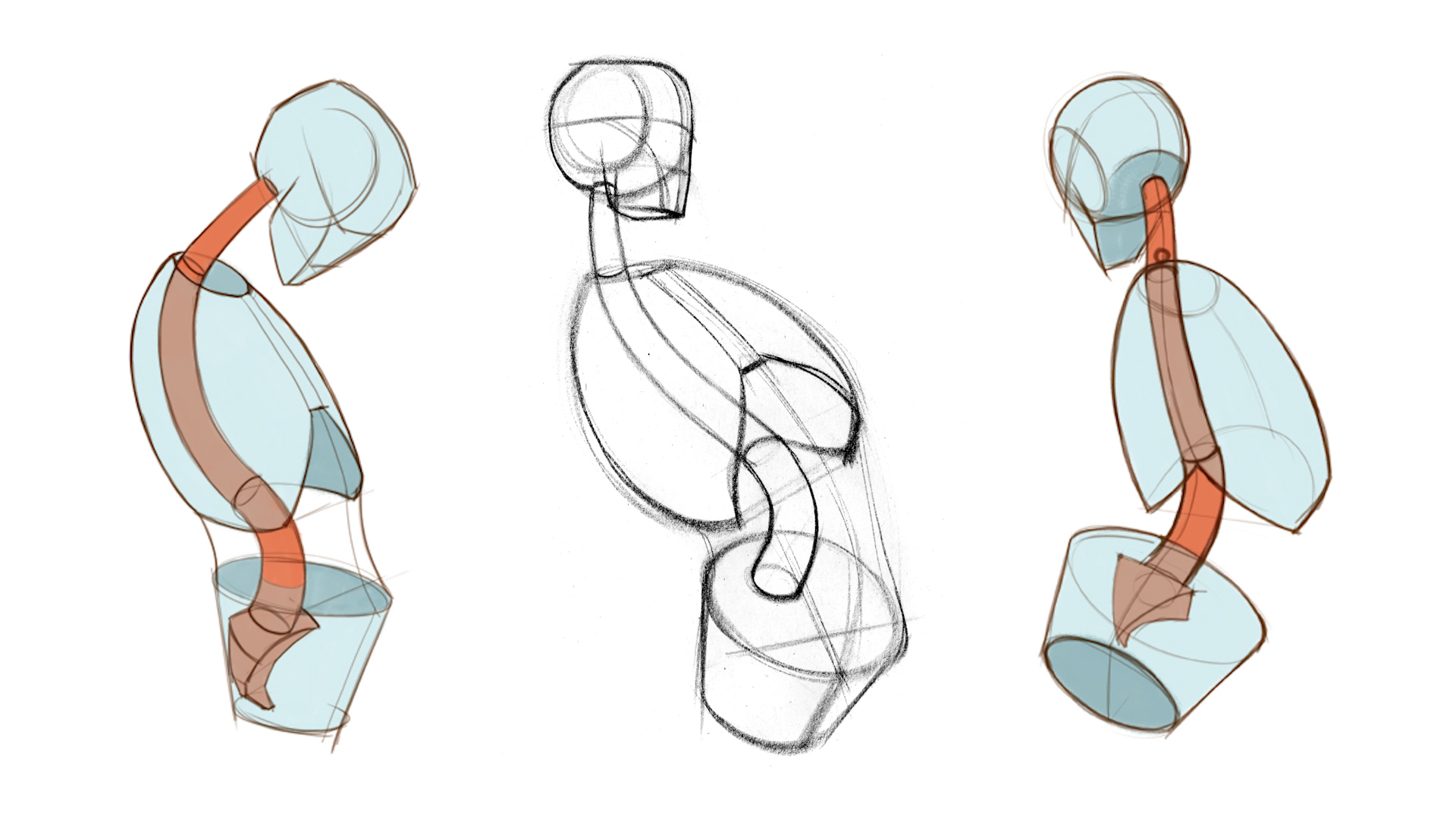 1920x1080 How To Draw The Spine Proko - Simple Human Body Sketch
