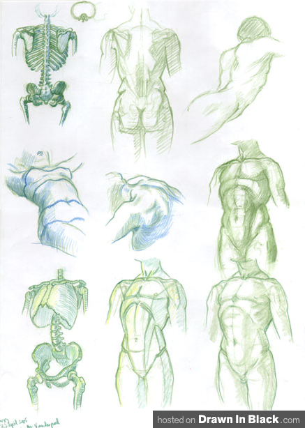 437x614 7 Tutorials On How To Draw The Human Anatomy Body Figure - Simple Human Body Sketch