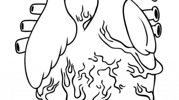 570x320 Simple Human Heart Drawing Simple Human Drawing - Simple Human Sketches