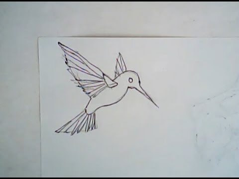 480x360 How To Draw A Hummingbird (Simple Drawing) - Simple Hummingbird Sketch