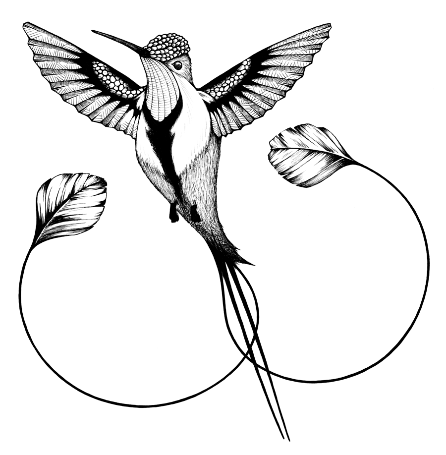 900x918 Simple Hummingbird Drawing 6 Hd Wallpapers, Hd Images, Hd Pictures - Simple Hummingbird Sketch