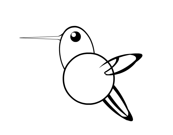 682x530 - Simple Hummingbird Sketch