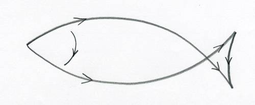 500x207 How To Draw A Fish - Simple Line Sketches