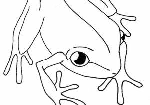 300x210 Simple Line Drawings Of Animals - Simple Line Sketches