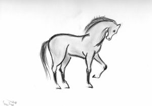 300x210 Simple Pencil Drawing Of Animals Pencil Art Images Animals Pencil - Simple Line Sketches