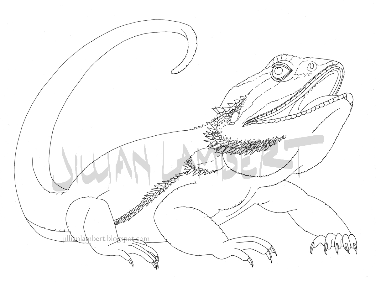 1200x900 Drawn Dragon Simple Line Art Free Collection Download And Share - Simple Line Sketches