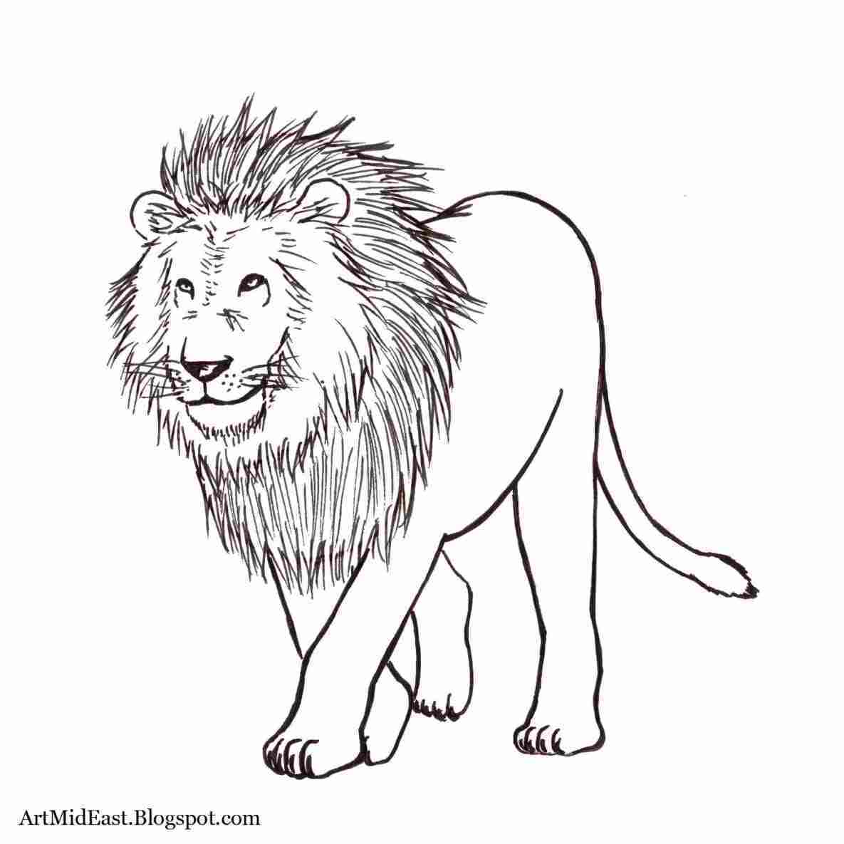 1185x1185 Simple Lion Sketch Realistic - Simple Lion Sketch