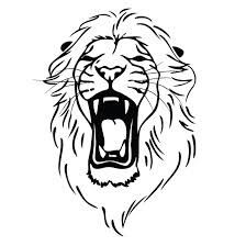 224x224 How To Draw A Lion Head - Simple Lion Sketch