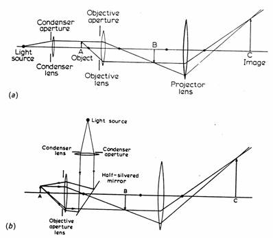 398x347 Indian Institute Of Technology - Simple Microscope Sketch