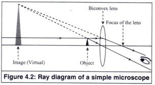 305x168 Working Principle And Parts Of A Simple Microscope (With Diagrams) - Simple Microscope Sketch