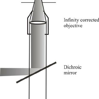 320x320 A Sketch Of A Simple Optical Tweezers Arrangement. The Microscope - Simple Microscope Sketch