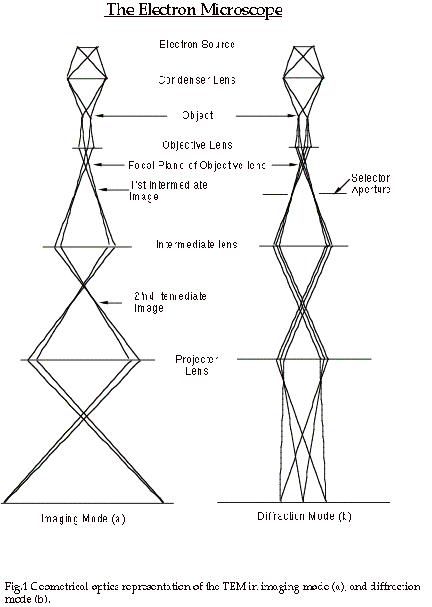 432x607 Collection Of Free Microscopes Drawing Electron Microscope - Simple Microscope Sketch