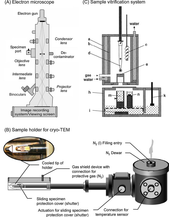 565x725 Cryogenic Transmission Electron Microscopy (Cryo Tem) For Studying - Simple Microscope Sketch