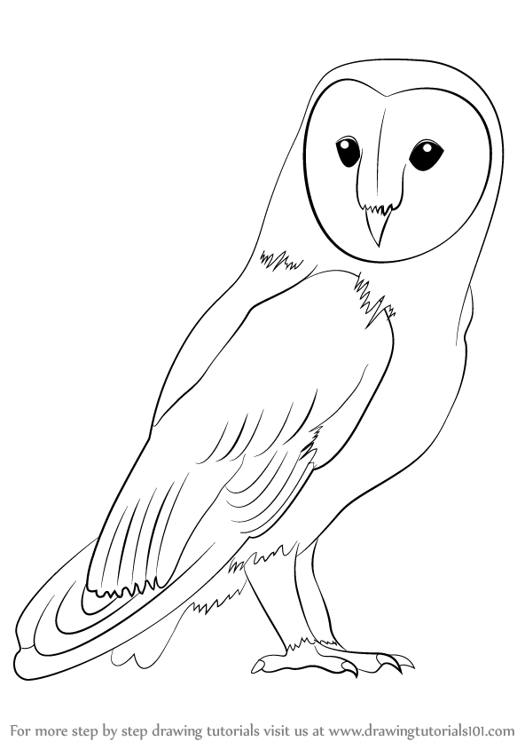 Simple Owl Sketch At Paintingvalley Com Explore Collection Of