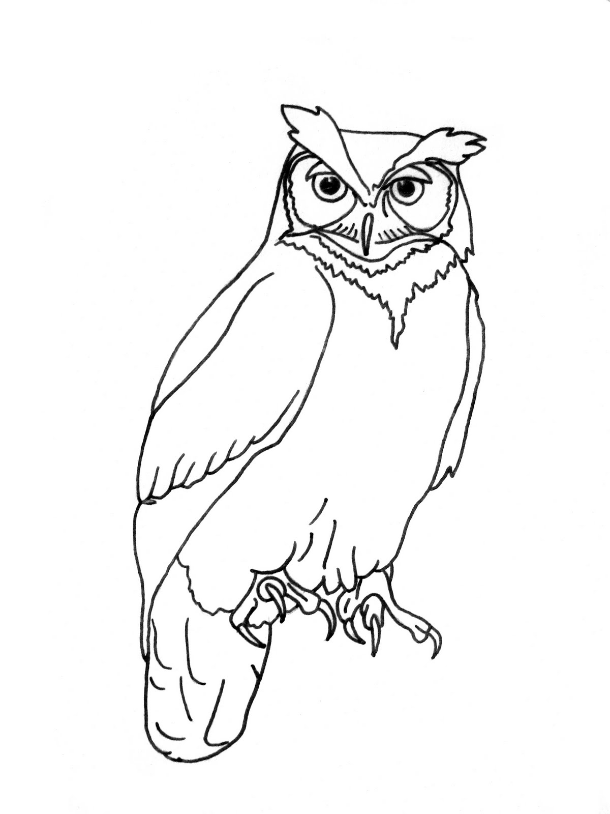 1200x1600 Owl Tattoo Easy Sketch Simple Owl Drawing At Getdrawings Free - Simple Owl Sketch