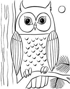 Simple Owl Sketch At Paintingvalley Com Explore Collection Of