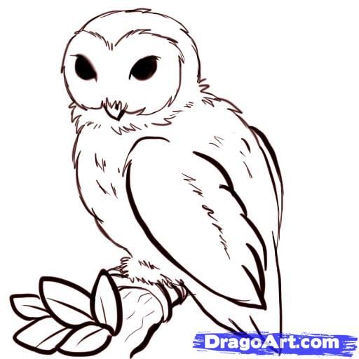 512x512 Simple Owl Drawings How To Draw Owls, Step By Step, Birds - Simple Owl Sketch