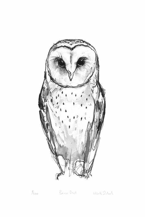 474x711 Simple Owl Sketch. Illustration Philip Williamson - Simple Owl Sketch