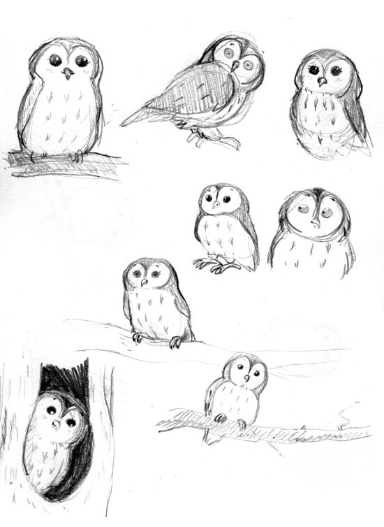 550x754 Black, Chouette, Drawing, Owl, White Drawing Inspiration - Simple Owl Sketch