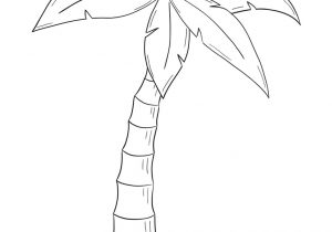 300x210 Sketch A Palm Tree How To Draw Simple Coconut Tree - Simple Palm Tree Sketch