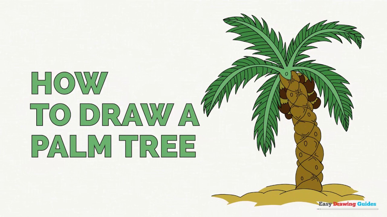 1280x720 How To Draw A Palm Tree - Simple Palm Tree Sketch