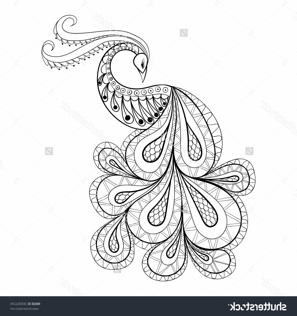 960x1024 Peacock Drawing Sketch Simple Peacock Pencil Drawing Unique - Simple Peacock Sketch