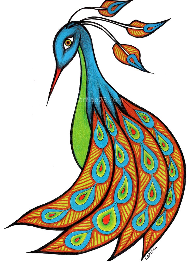 736x1007 Simple Peacock Sketch - Simple Peacock Sketch