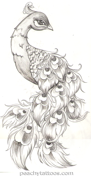 312x600 Mosaic Idea I Wouldnt Be Able To Do All Of The Little Details But - Simple Peacock Sketch